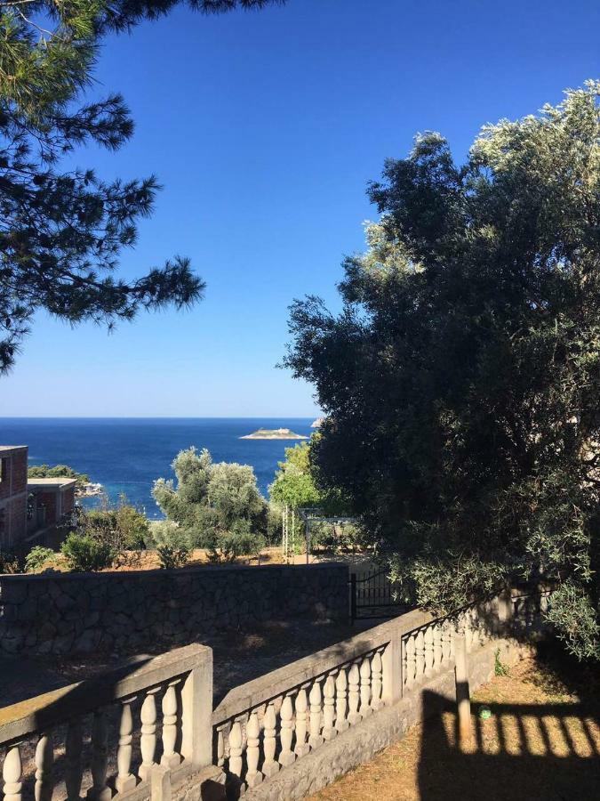 Apartman Novica Herceg Novi Eksteriør billede